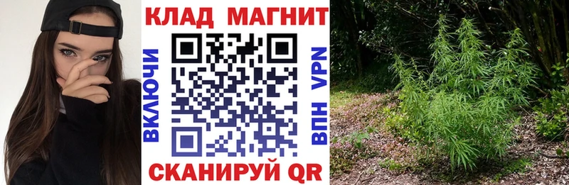 Купить закладку Кокаин  A PVP  Конопля  Галлюциногенные грибы  Меф мяу мяу  Староминская