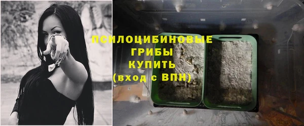 прущие крисы Балабаново