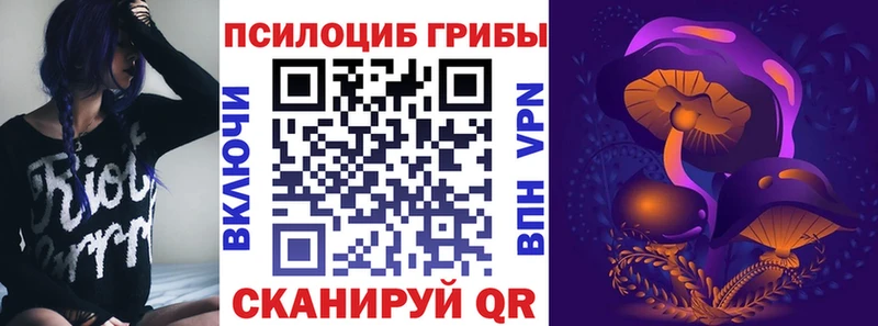 Псилоцибиновые грибы GOLDEN TEACHER  Купить закладки  Староминская 